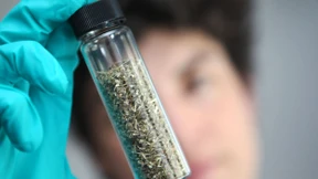 Kräuter-Joints dürfen weiter verkauft werden