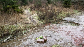 Stumpfe Gewalt ist Ursache für Tod des 14-Jährigen in Wunstorf