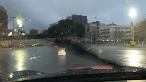 Den Porsche fernsteuern