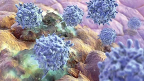 „Wir haben die Bösewichte“