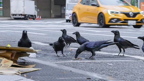 Auch wir schauen uns gern im Spiegel an