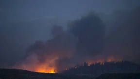 Obama ruft Notstand aus