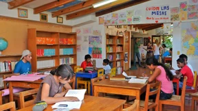 Die Bienchen-Brigaden