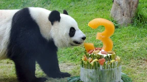 Wie schön, dass du geboren bist