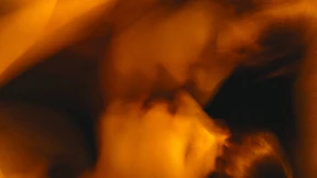 Was ist das Besondere an feministischem Porno?