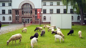 Den Kreativen über die Schulter geschaut