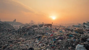 Gestörter Werkstoffwechsel