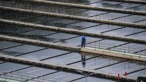 Kampf gegen Windeln und Kondome