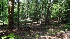 Müllberge entsorgen reicht nicht