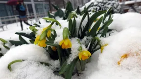 Ist dieser endlose Winter immer noch zeitgemäß?