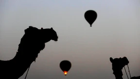 Tradition, Touristen und Kamele