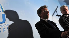 Eine saisonale Filzallergie 