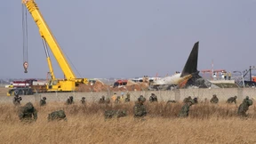 Wie gefährlich ist ein Vogelschlag?