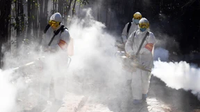 Verschwörungstheorien aus dem Baukasten