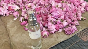 Die Spur führt nach Oman