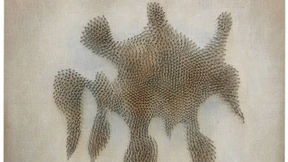 Zero zieht gut, Pechstein hält sich bestens