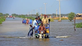 Hunger, Malaria und Schlangenbisse