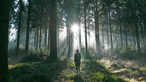 Erholung für die Städter