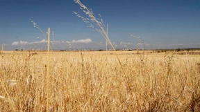 Madrid will sich aus der Krise zocken