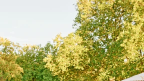 Lustbarkeiten am Löschteich