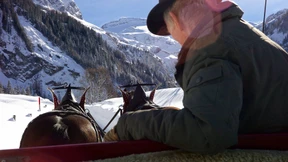 Mensch und Kuh auf Augenhöhe