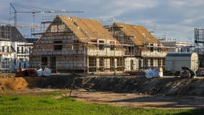 Wieso bremsen Kröten und Spatzen immer wieder Neubauten aus?