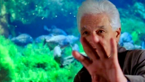 Die Gewalt der Geduld