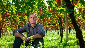 „Der Gewürztraminer braucht ein Solo“