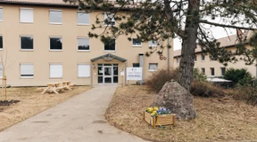 Stiefmütterchen zur Begrüßung