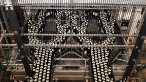 Bitburger wieder Sponsor der Nationalelf