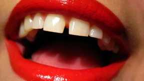 Zum Lachen bitte in den Keller