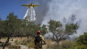 Löschflugzeuge sind die einzige Chance