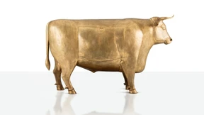 Nützliche Bestien suchen neues Heim