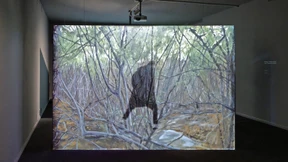 Schützengraben im Kunstzentrum