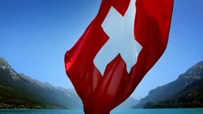 Wenn Berner Bären der Kälte trotzen