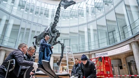 Hans Haackes „Gift Horse“ jetzt in Frankfurt