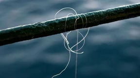 Seid endlich ehrlich: Das Geld ist weg