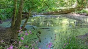 Naherholung zwischen Fluss und Autobahn