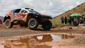 Der Wüstenkönig und sein Widersacher 