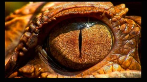 So lässt sich auch TV schauen