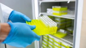 Inzwischen 22 bestätigte EHEC-Fälle in Mecklenburg-Vorpommern