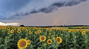 Trübe Tage mit schönen Aussichten