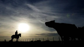 Gauchos, gebt mir mein Geld zurück! 