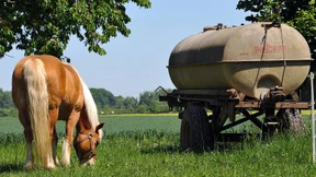 Hessische Kommune schafft Pferdesteuer ab