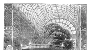 Die ausgestellte Welt