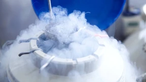 Frauen überschätzen die Reproduktionsmedizin