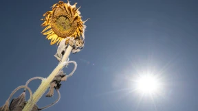 Juli 2019 war weltweit heißester Monat seit Messbeginn