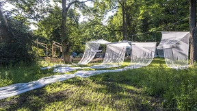 Monumenta statt Documenta