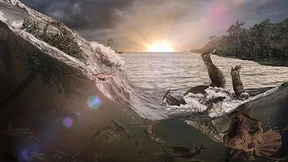 Der Tod kam im Frühling