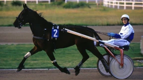 Rennpferd demoliert Polizeiwagen